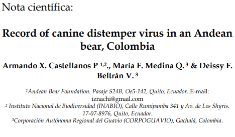 Virus in Andean bear
